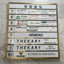 헤어클립스 | 클립스 키코 통가발 외 다양하게 착용해본 후기