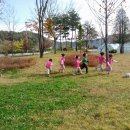 춘양양묘사업소 이미지