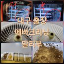 계양로 | 대구 에바크리닝 말리부 8년 묵은 곰팡이 퇴치 후기