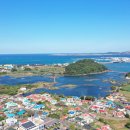 오조리-1 이미지