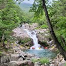 제320차 부산광역시 장산(634m),구곡산(434m) 정기산행(2022.06.25) 이미지