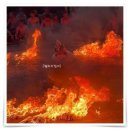 자유여행영어 | 발리 자유여행 후기 가성비 일일투어 울루와뚜 사원 케착댄스와 술루반비치