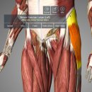 근육다짐 이미지