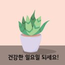 신광동약국 이미지