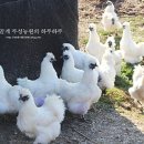 부성축산 이미지