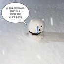 캬캭 이미지