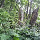 큰산농장 이미지