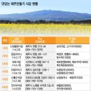 호텔토마토 이미지