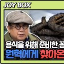 예비장인의 생신을 맞아 부산여행 이미지