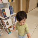 십자로 | 헤르티만(KURUA) 아기 가성비 회전책장 조립방법 내돈내산 찐만족 후기