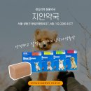 지안약국 이미지