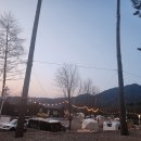 강원도 평창가야지캠핑장_리얼후기