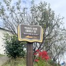 서문주유소 이미지