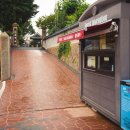 이동국농장 | [군산여행] 고양이 보살 만냥이 보고 수제 오미자차도 마실 수 있는 국내 유일 일본식 사찰 동국사