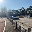 명지대학교 박물관 | [서울] 조선왕릉 태릉 강릉 &amp; 1년 두번 개방 숲길 후기 [2022.11.16]