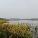 물나들이 이미지