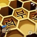 123인력 이미지