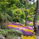 대전지체장애인협회 동구지회 이미지