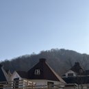 하양하양 | 홍천 하양목장 후기｜아이들이 또 가고 싶대요, 비발디파크 근처 양 먹이주기 체험