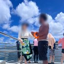 돌고래하우스 이미지