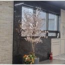 미소세탁소 이미지