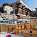 박인한의원 이미지