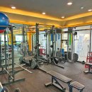 미니 휘트니스 이미지