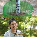 성우부화장 이미지