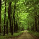 군산남초등학교 이미지