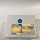담음 - 서산시 | 트로피코 싱싱담음샐러드 리코타치즈 샐러드 후기