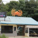 CU 강릉교동중앙점 | 강릉 중앙시장 맛집 감탄하면서 즐긴 교동대게 강릉 본점