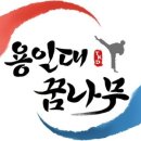 용인대 꿈나무 태권도장 이미지