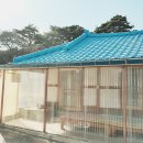 원원민박 이미지