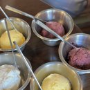 모치플레지르 | 부산 광안리 애견 동반 브런치 카페 #모치플레지르 내돈내산 후기