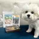 개맛있개 이미지