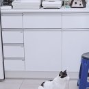 그린펫동물병원 이미지