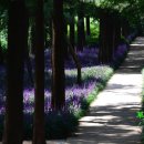 문흥 북구노인복지센터 이미지