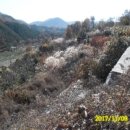 무풍면010 이미지