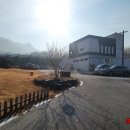 사과숲애