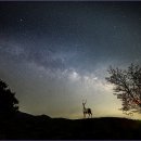 제주의별밤 이미지