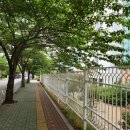 광안올레공인중개사사무소 이미지