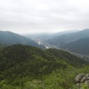 진자농장 이미지