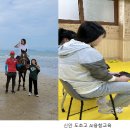 금성초 이미지