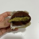 한입만 | 영등포 두쫀쿠 찐찐맛집 디저트 한입만 두쫀쿠, 딸레오쫀득쿠키 내돈내산 후기