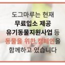 도그마루 강아지 고양이 동탄점 네이버블로그