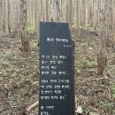 무등산편백자연휴양림 이미지