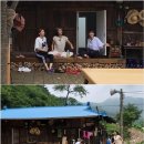 삼시세끼 이미지