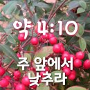 주님앞에제일교회 이미지