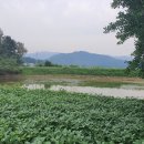 외장포경로당 이미지