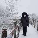 안성면109 이미지